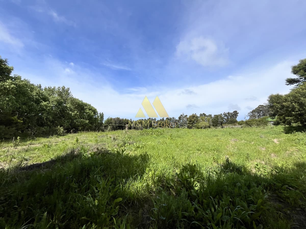 Chacra ID.626 - Venta chacra 6ha próximo a Laguna de los Cisnes Punta del Este