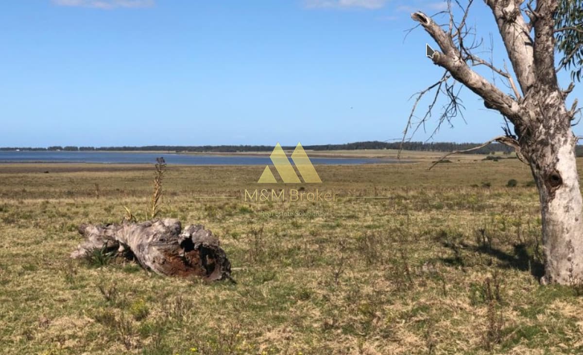 Chacra ID.805 - Chacra en Venta en Laguna de José Ignacio