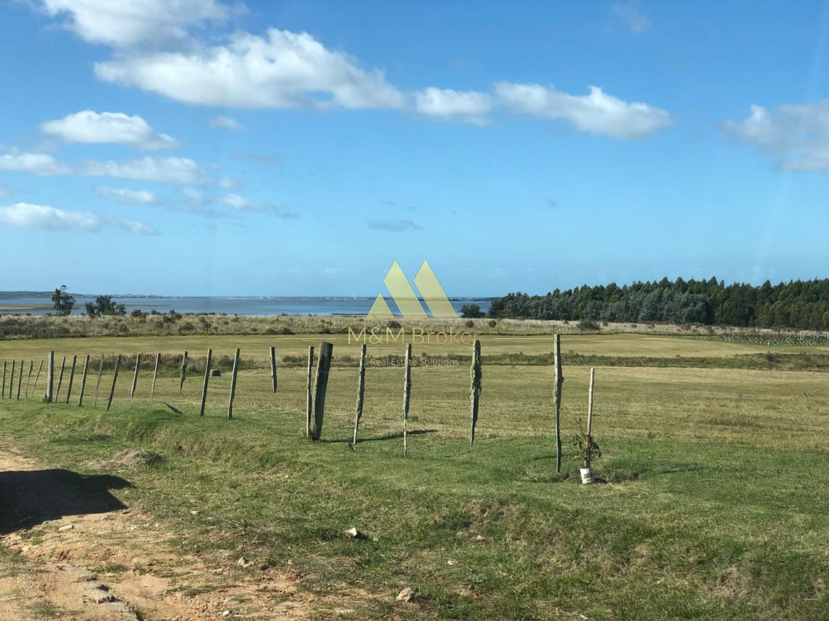 Chacra ID.805 - Chacra en Venta en Laguna de José Ignacio