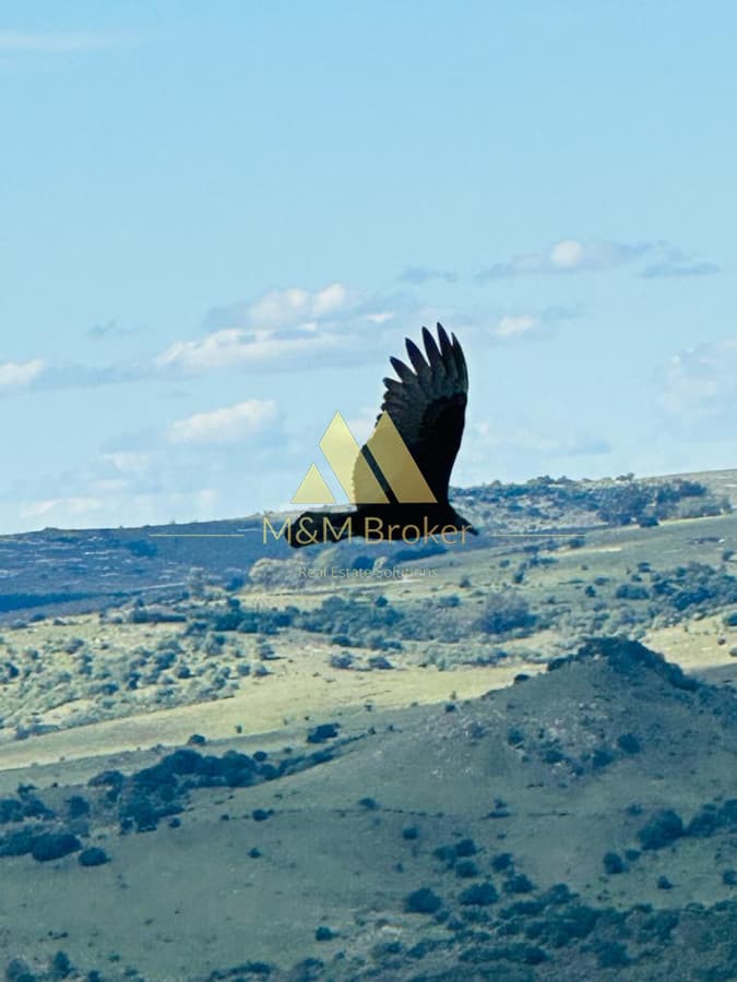 Chacra ID.482 - Venta chacra 5ha Pan de azucar