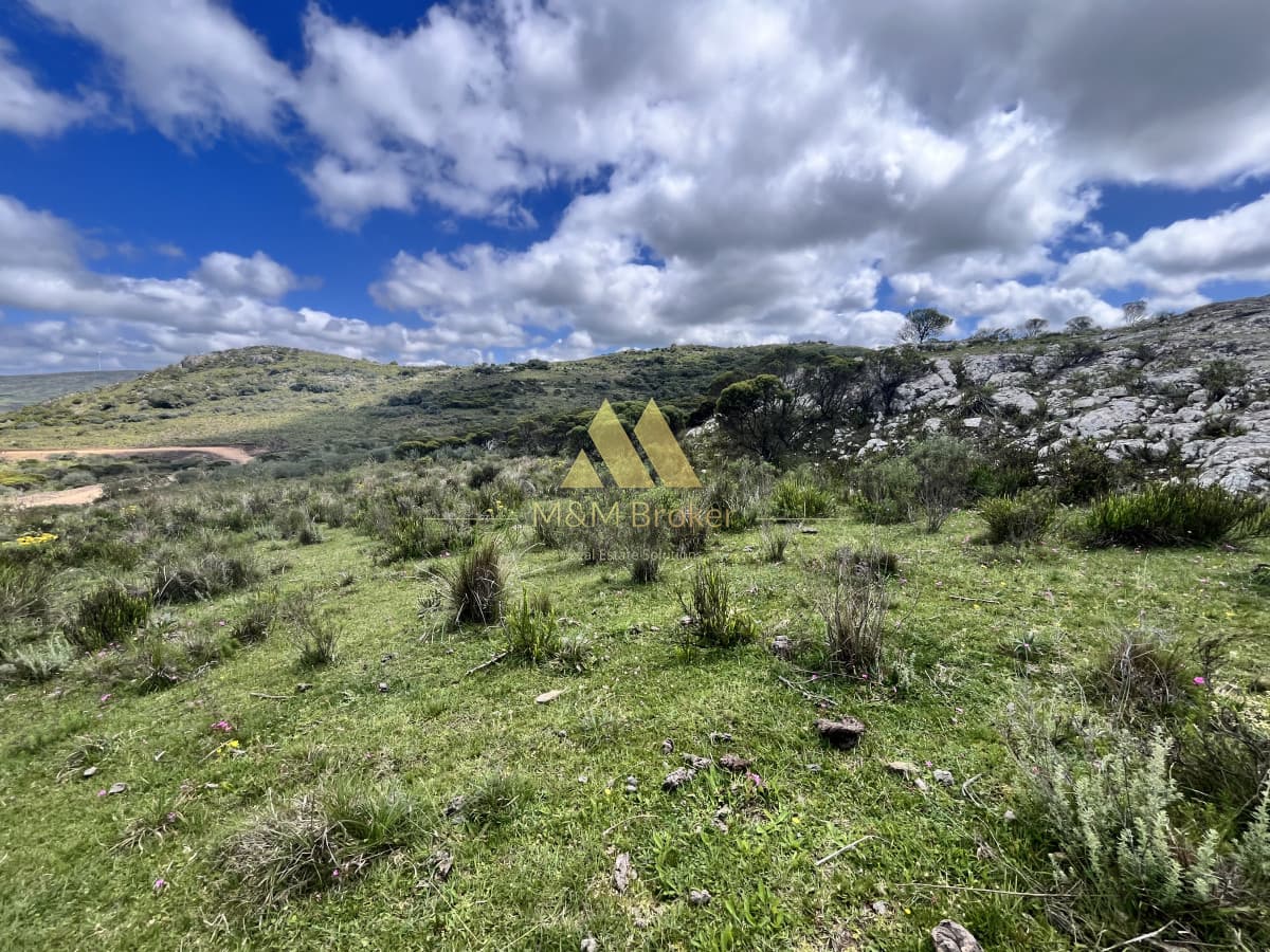 Chacra ID.624 - Venta chacra 3,5 Ha Ruta 39 Maldonado
