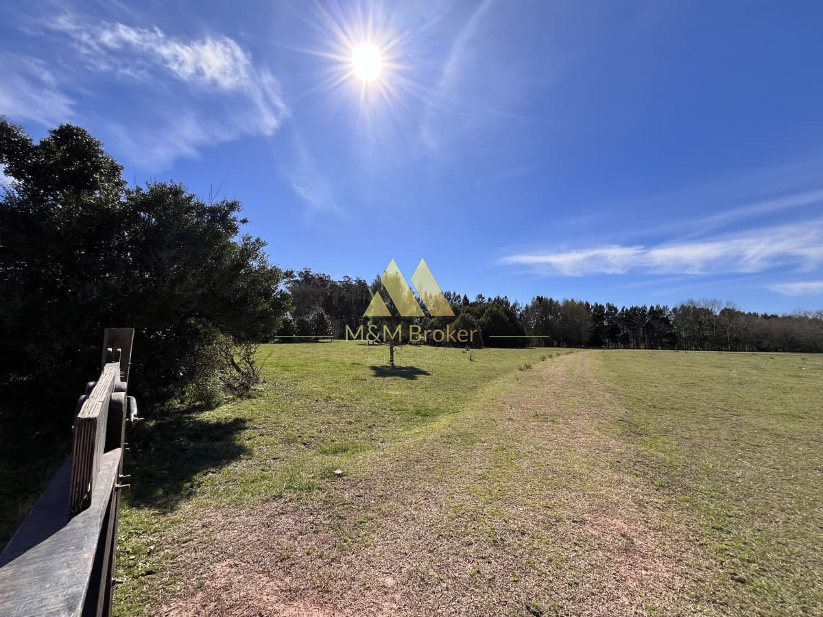 Chacra ID.462 - Venta chacra 5Ha Zona La Pataia Punta del Este