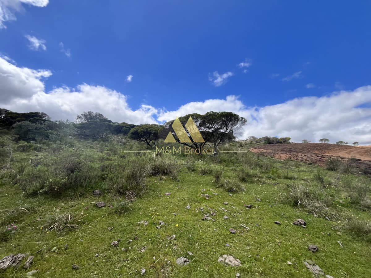 Chacra ID.624 - Venta chacra 3,5 Ha Ruta 39 Maldonado