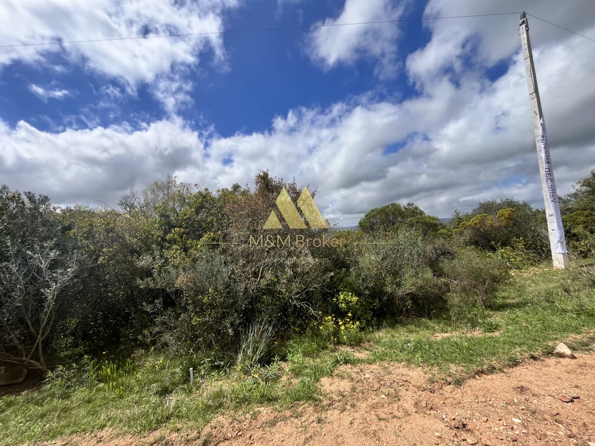Chacra ID.623 - Venta chacra 4,5 ha Maldonado