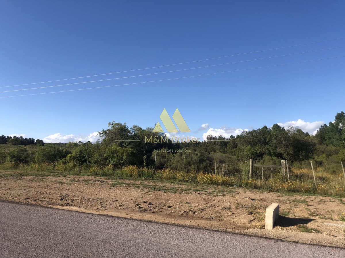 Chacra ID.422 - Venta chacra 5,6 ha Pan de Azucar, Maldonado