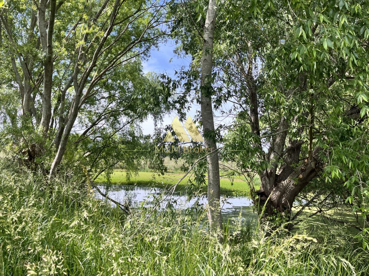 Chacra ID.626 - Venta chacra 6ha próximo a Laguna de los Cisnes Punta del Este