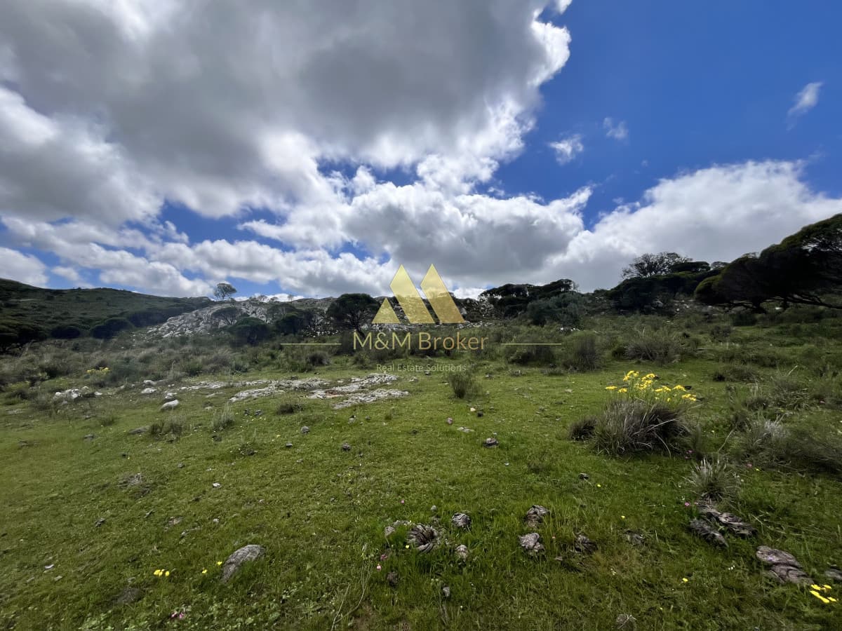 Chacra ID.624 - Venta chacra 3,5 Ha Ruta 39 Maldonado