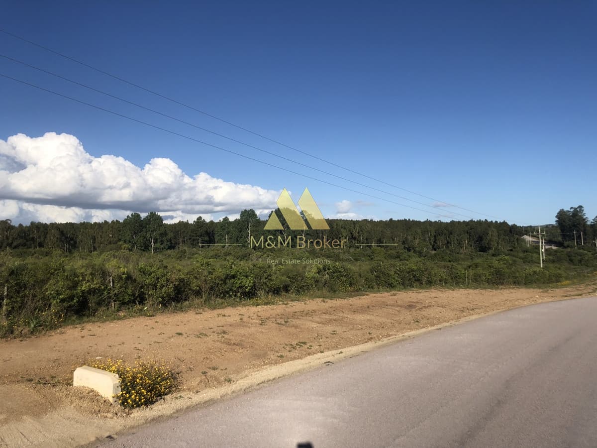 Chacra ID.422 - Venta chacra 5,6 ha Pan de Azucar, Maldonado