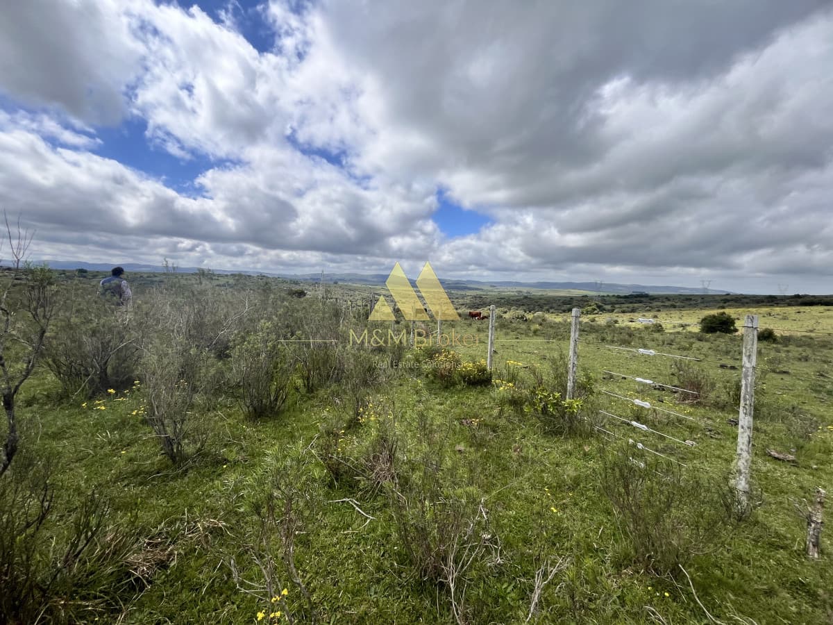 Chacra ID.622 - Venta chacra 4,5ha Maldonado