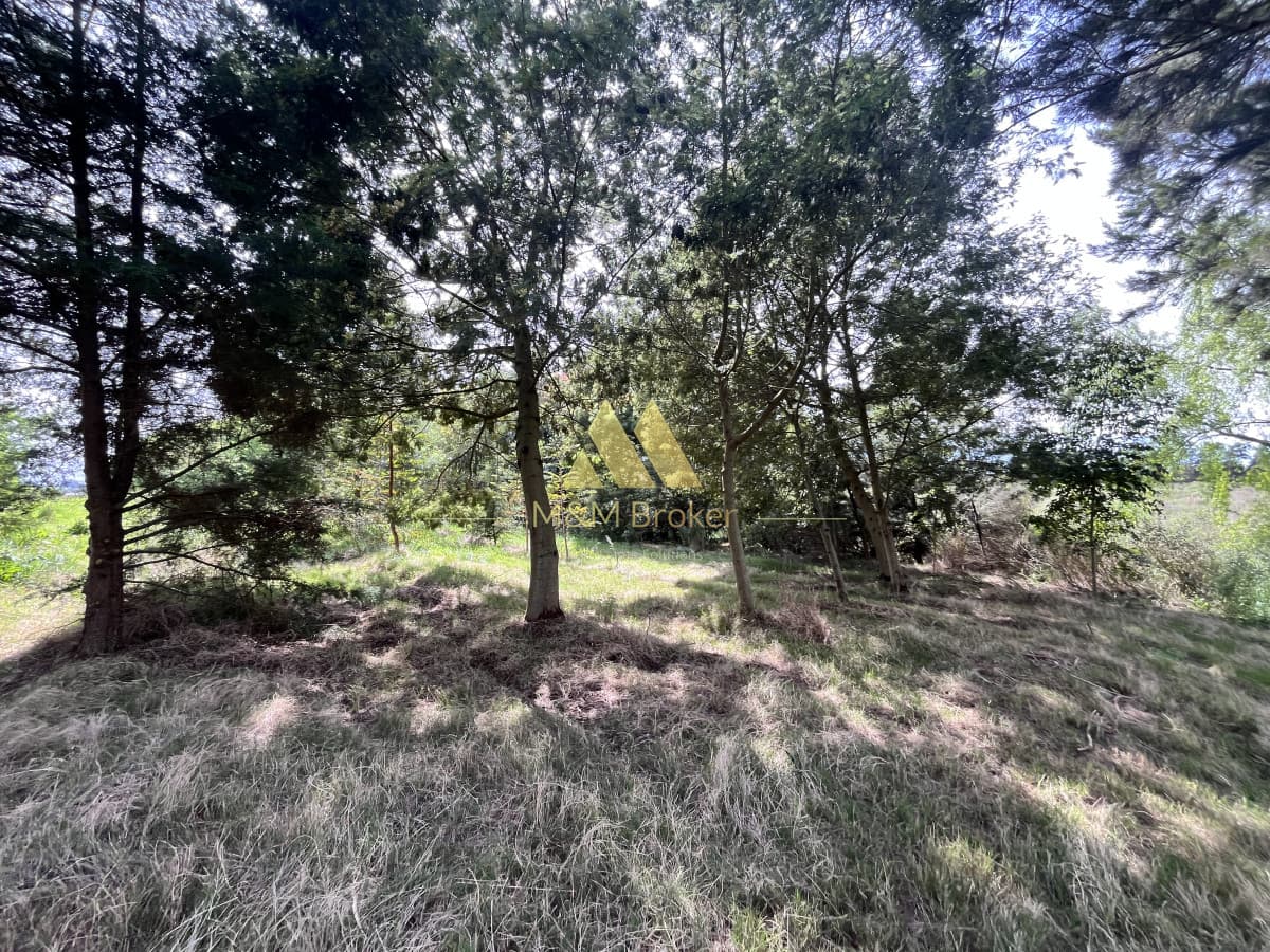 Chacra ID.626 - Venta chacra 6ha próximo a Laguna de los Cisnes Punta del Este