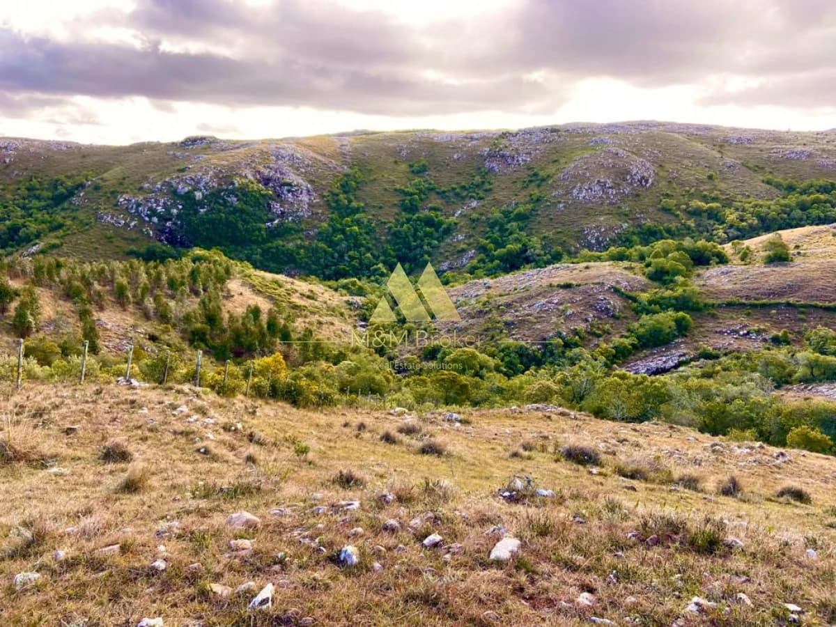 Campo de 52 Ha, Exclusivo en Maldonado Cerro Catedral!!!    -