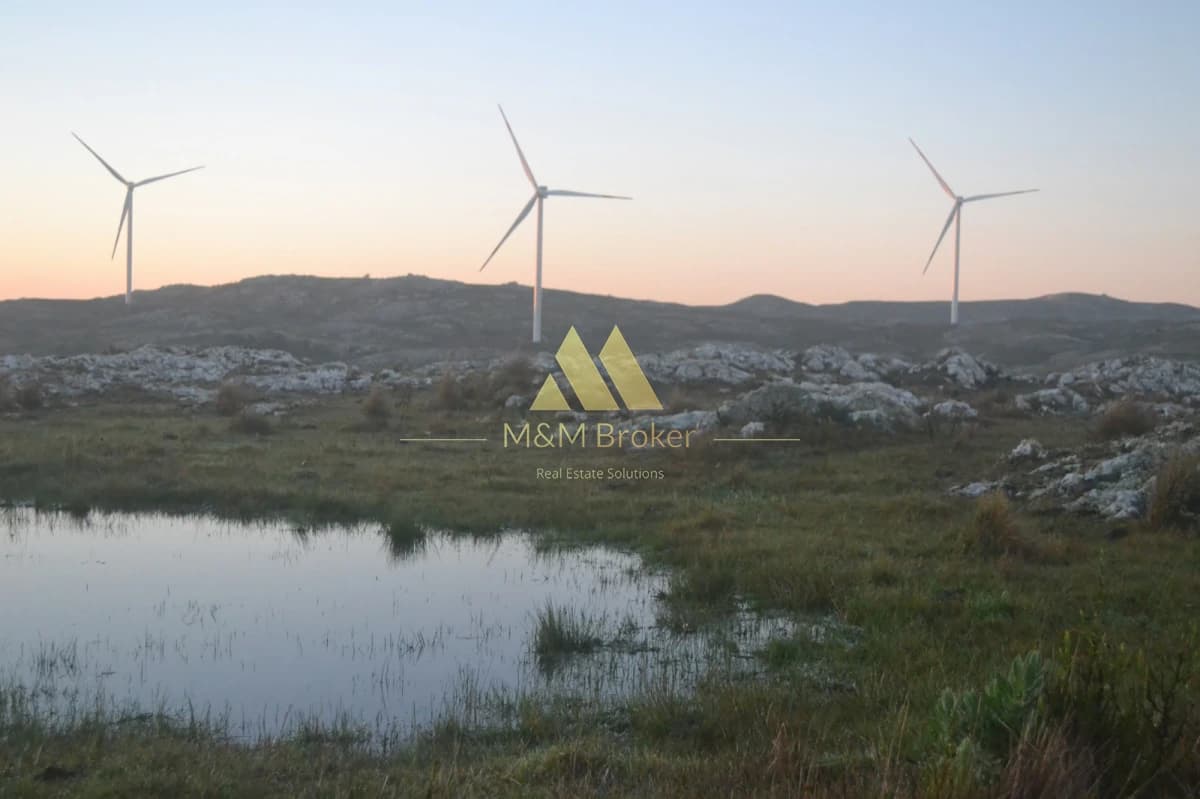 Campo de 52 Ha, Exclusivo en Maldonado Cerro Catedral!!!    -