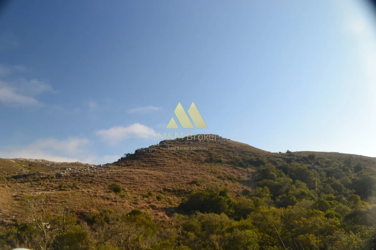 Campo de 52 Ha, Exclusivo en Maldonado Cerro Catedral!!!    -