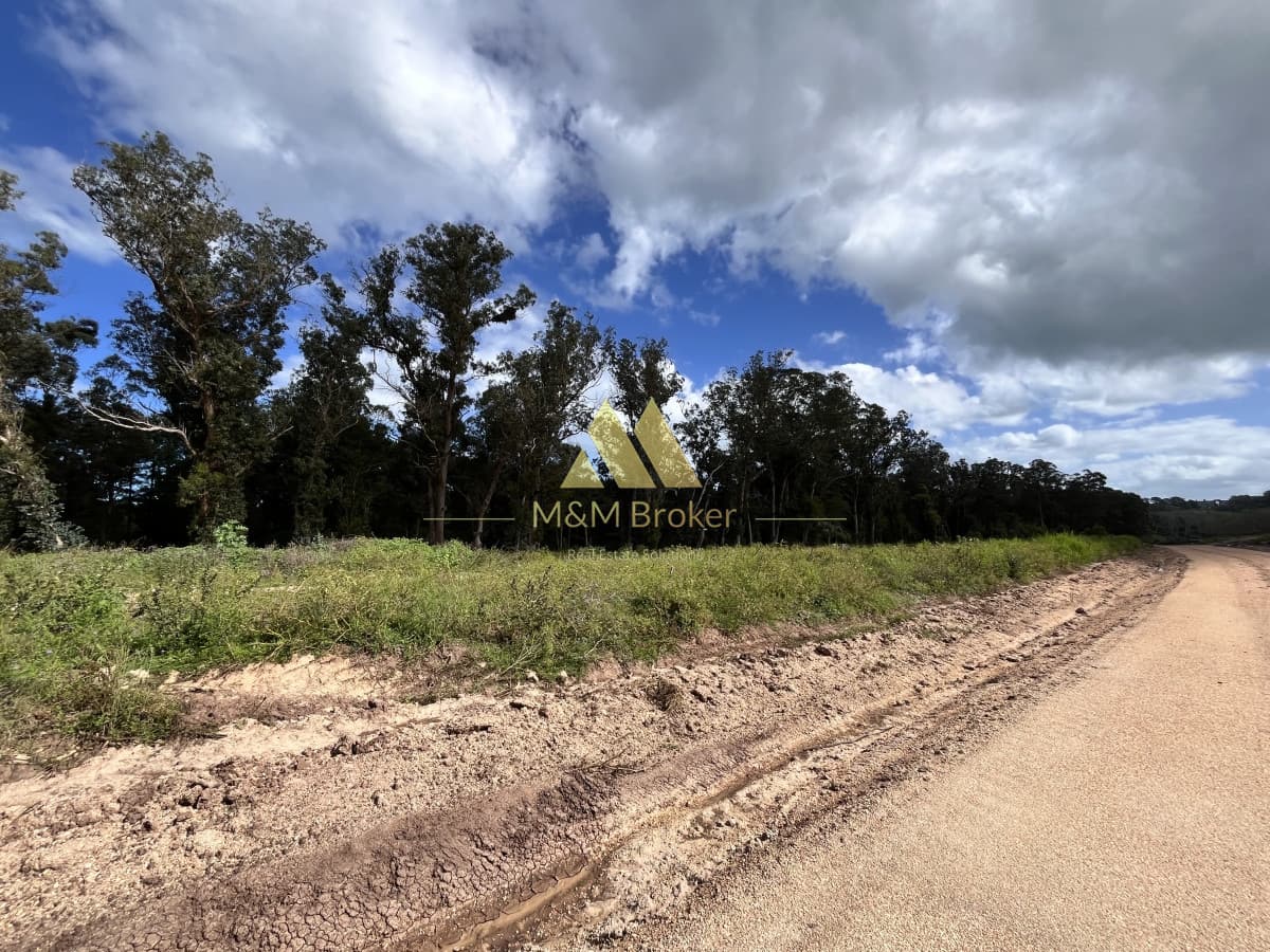 Terreno ID.410 - Venta terreno Pda 45 mansa (barrio privado)