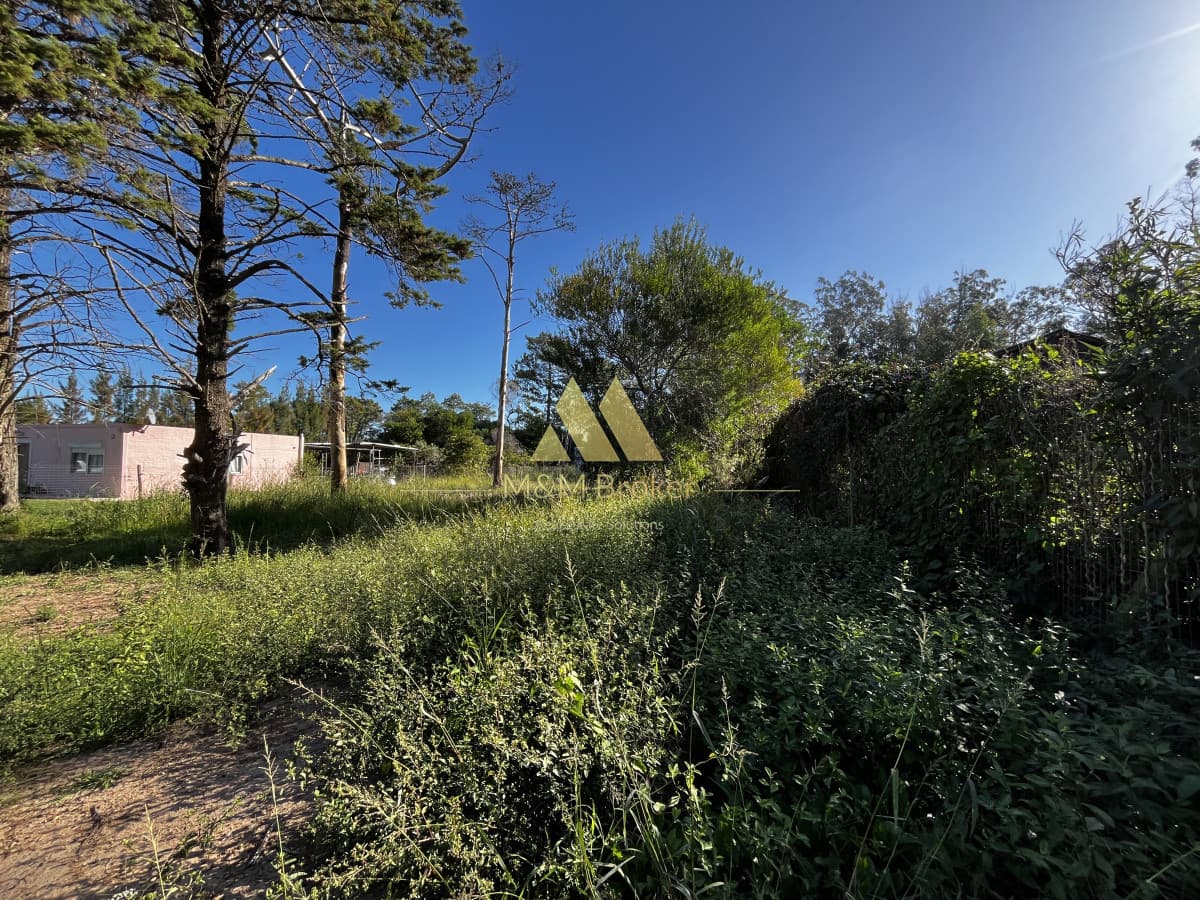 Terreno ID.745 - Venta terreno 800m Ocean Park Punta del Este