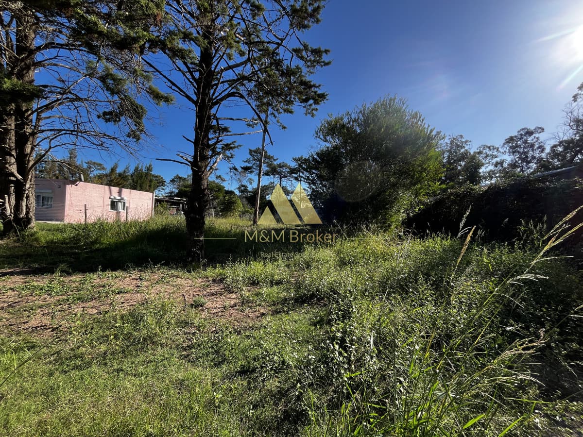 Terreno ID.745 - Venta terreno 800m Ocean Park Punta del Este