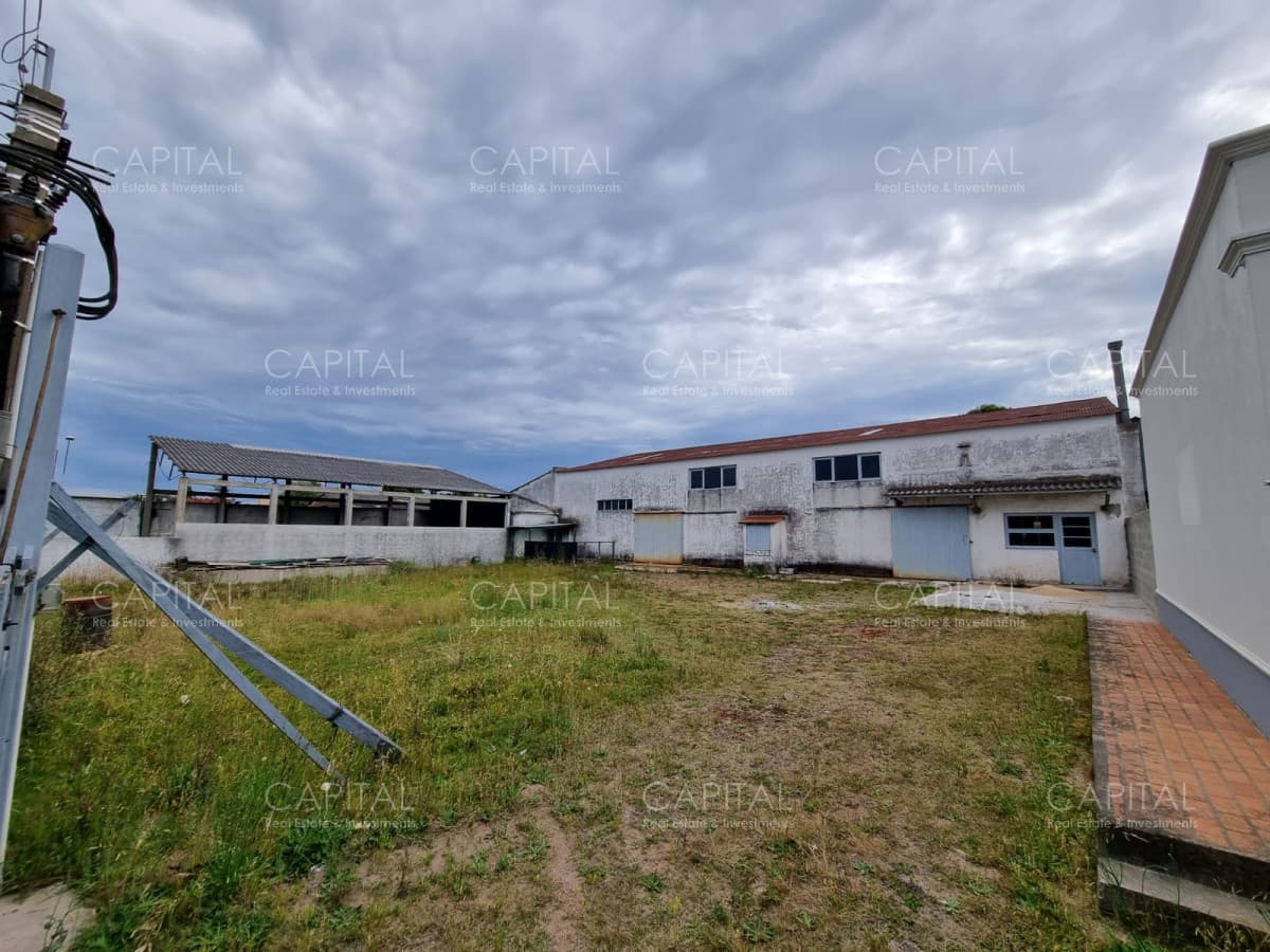 Galpón en Venta, Centro de Maldonado