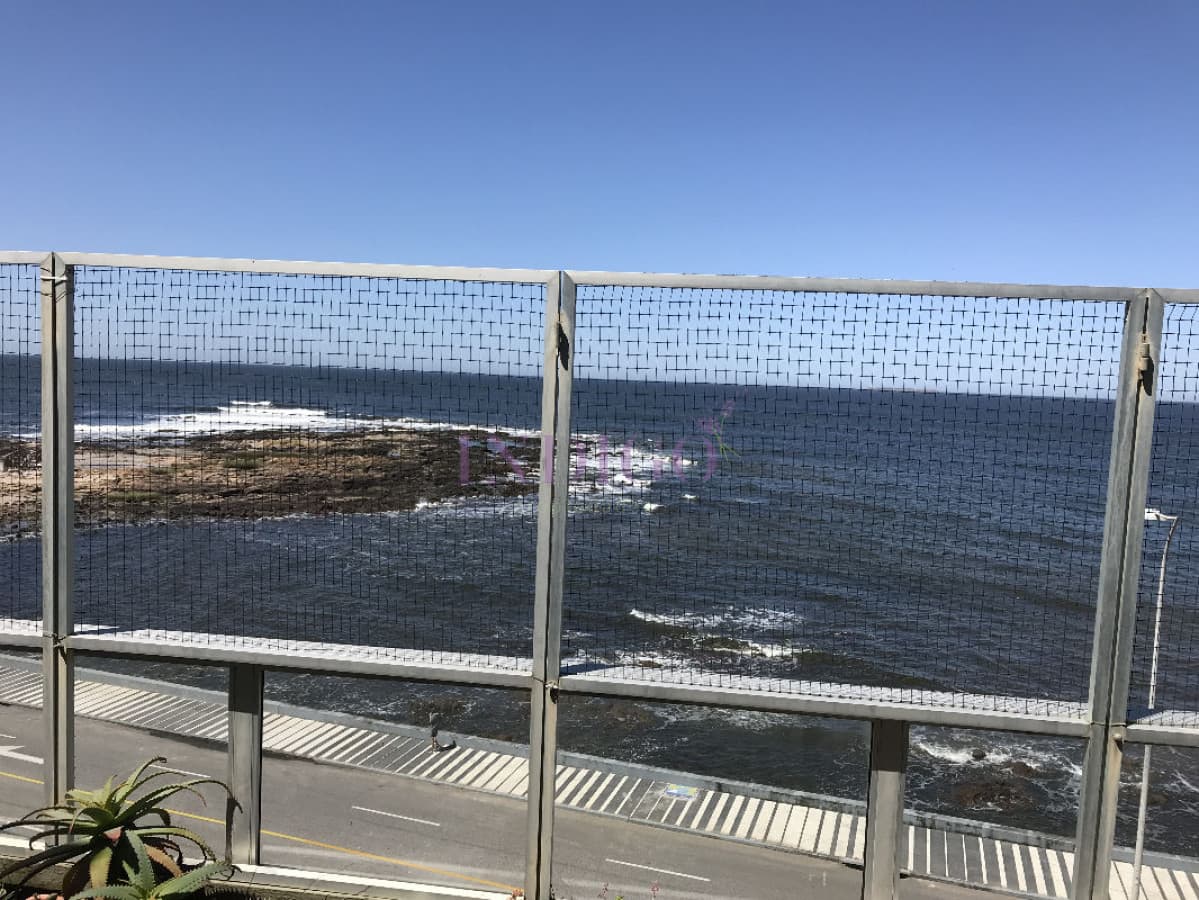 Departamento en alquiler en la Península a mts de playa El Emir. - Indigo Propiedades