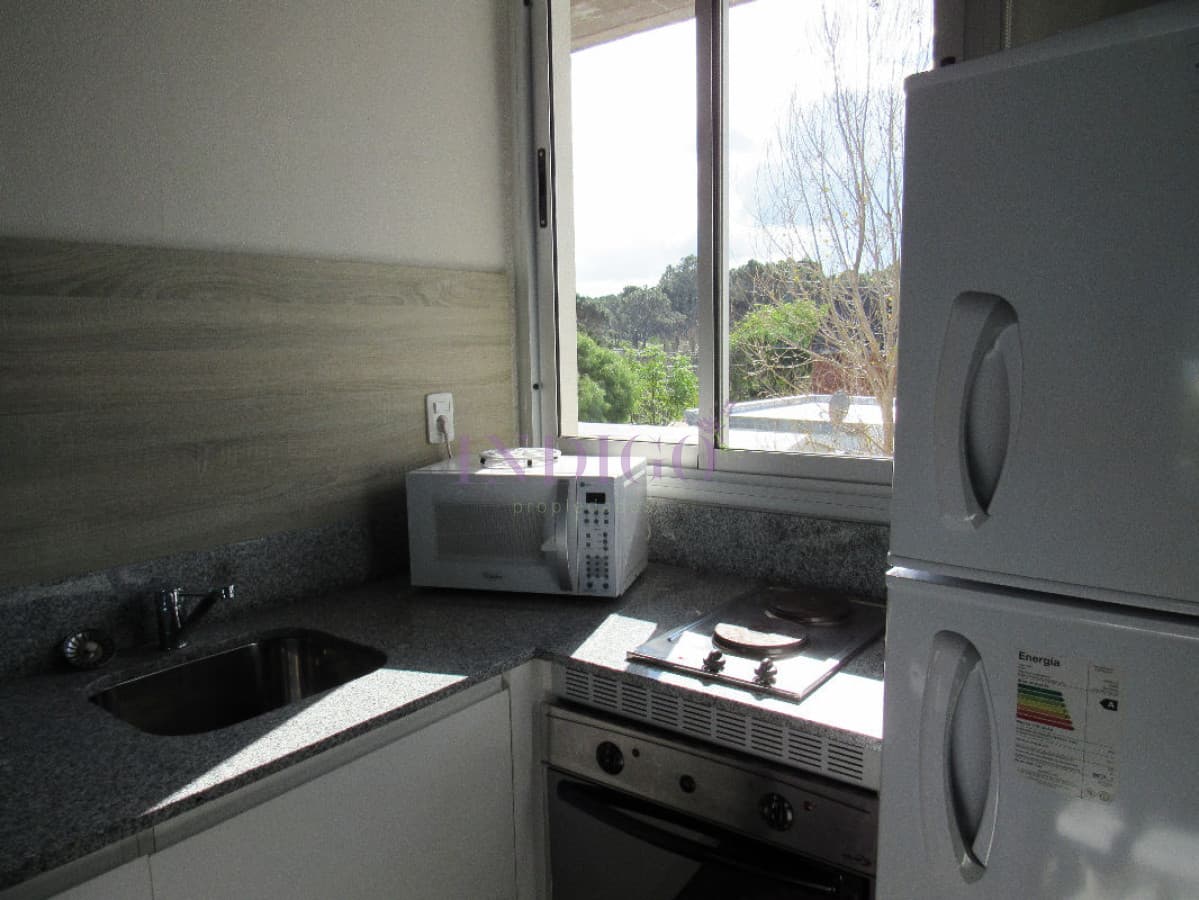 Apartamento en venta y alquiler en Manantiales. - Indigo Propiedades