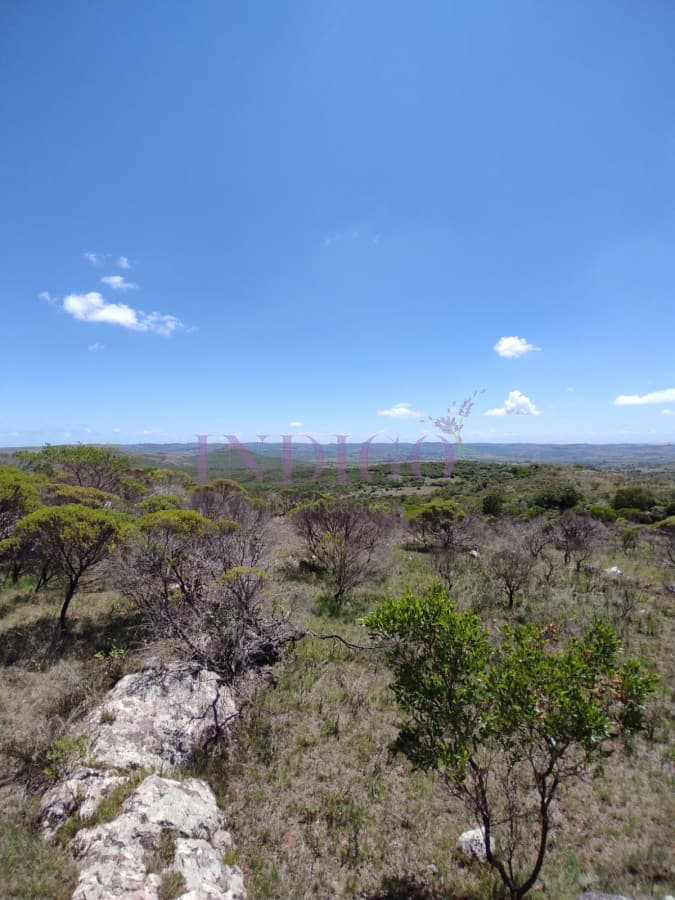 Campo en Pueblo Edén - Indigo Propiedades