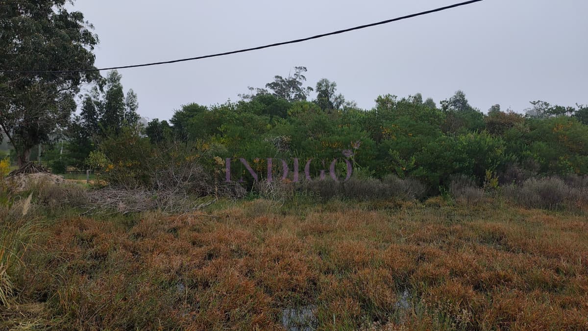 Terreno en Venta en Santa Monica - Indigo Propiedades