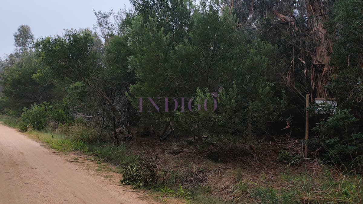 Terreno en Venta en Santa Monica - Indigo Propiedades