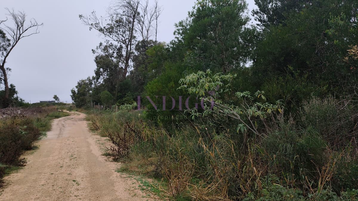 Terreno en Venta en Santa Monica - Indigo Propiedades