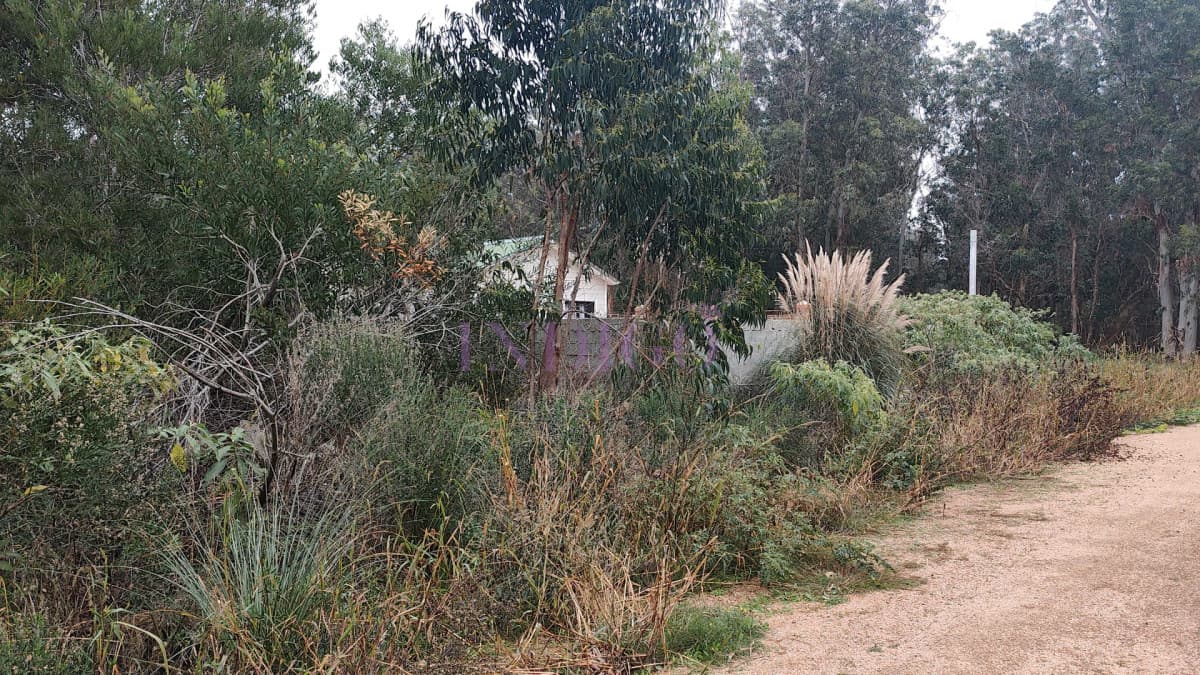 Terreno en Venta en Santa Monica - Indigo Propiedades