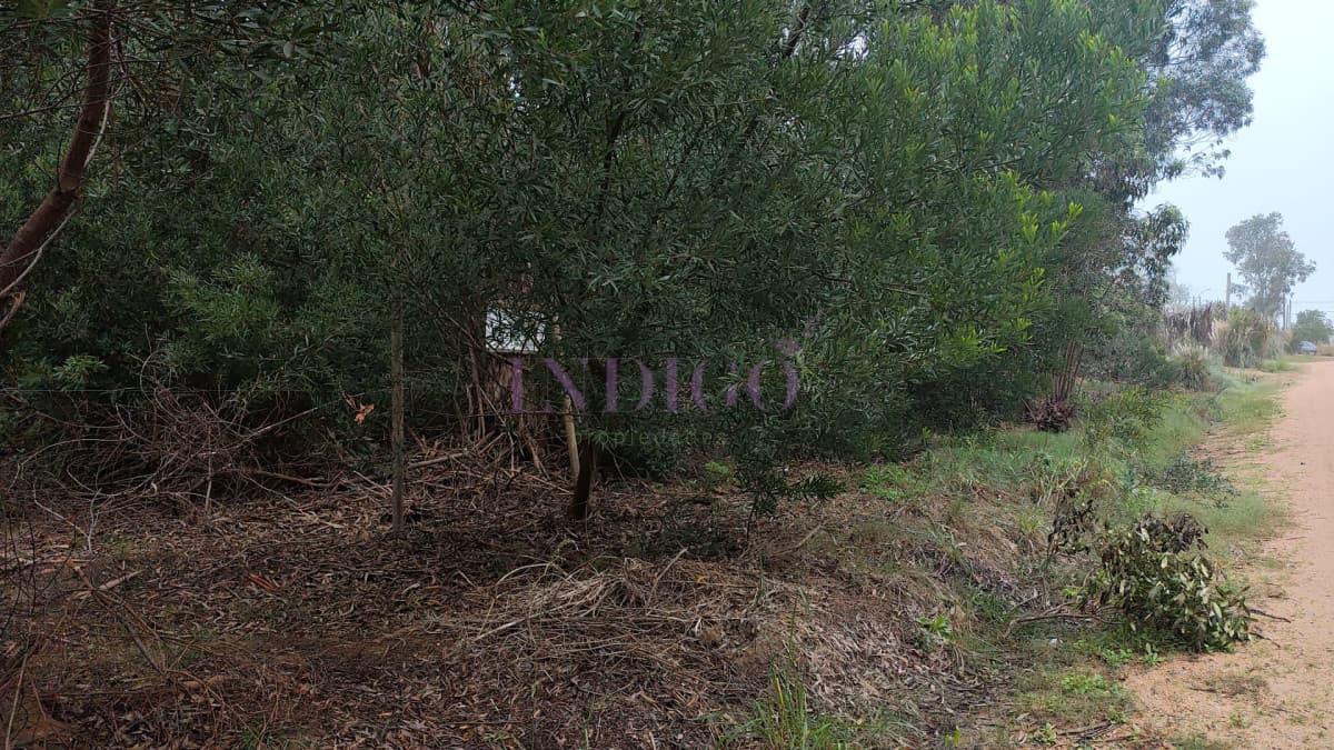 Terreno en Venta en Santa Monica - Indigo Propiedades