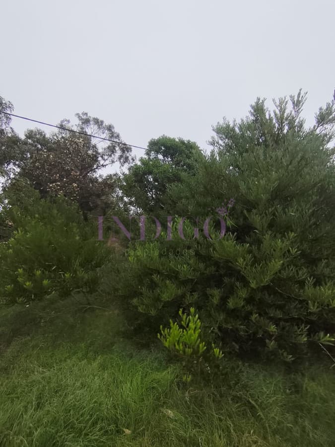 Terreno en Venta en Santa Monica - Indigo Propiedades