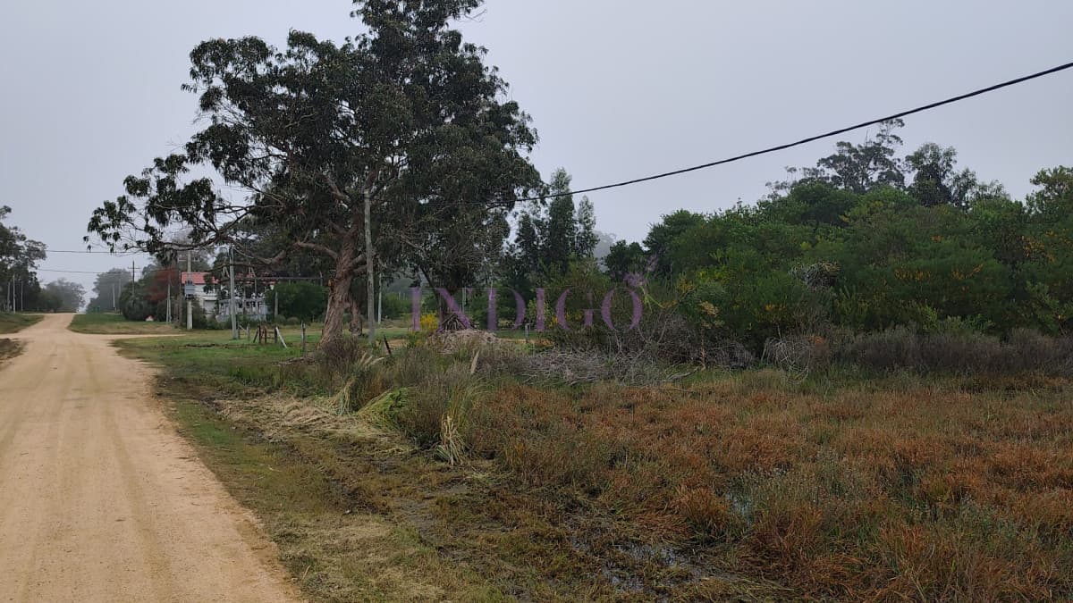 Terreno en Venta en Santa Monica - Indigo Propiedades