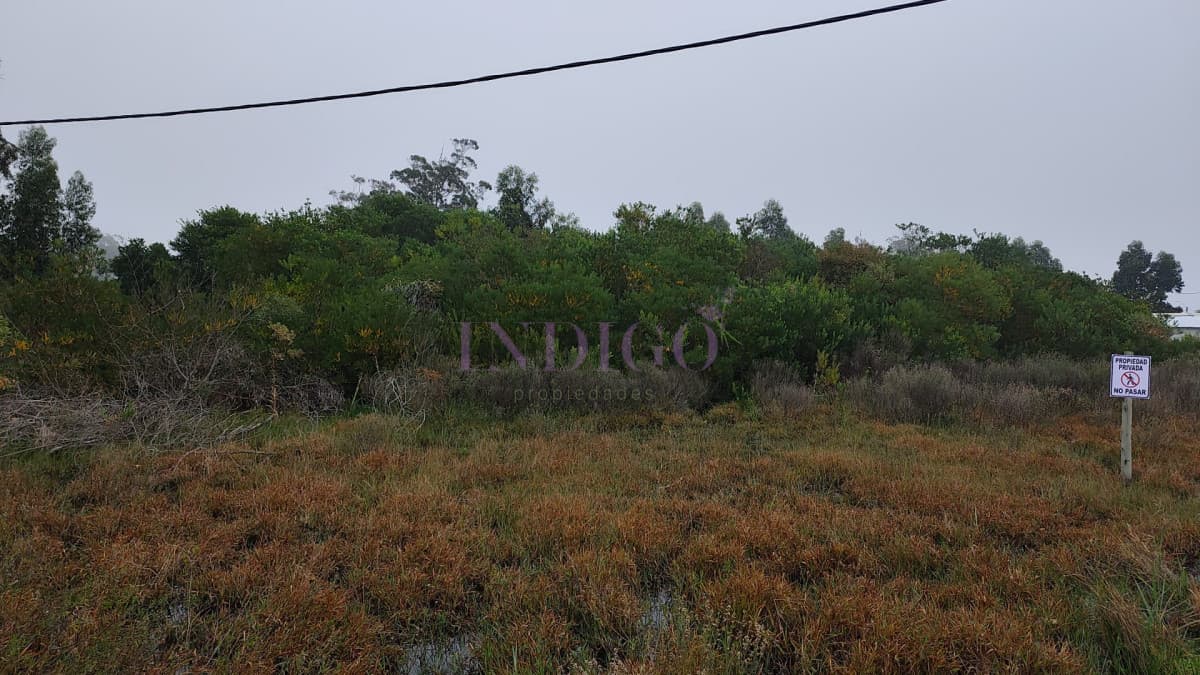 Terreno en Venta en Santa Monica - Indigo Propiedades