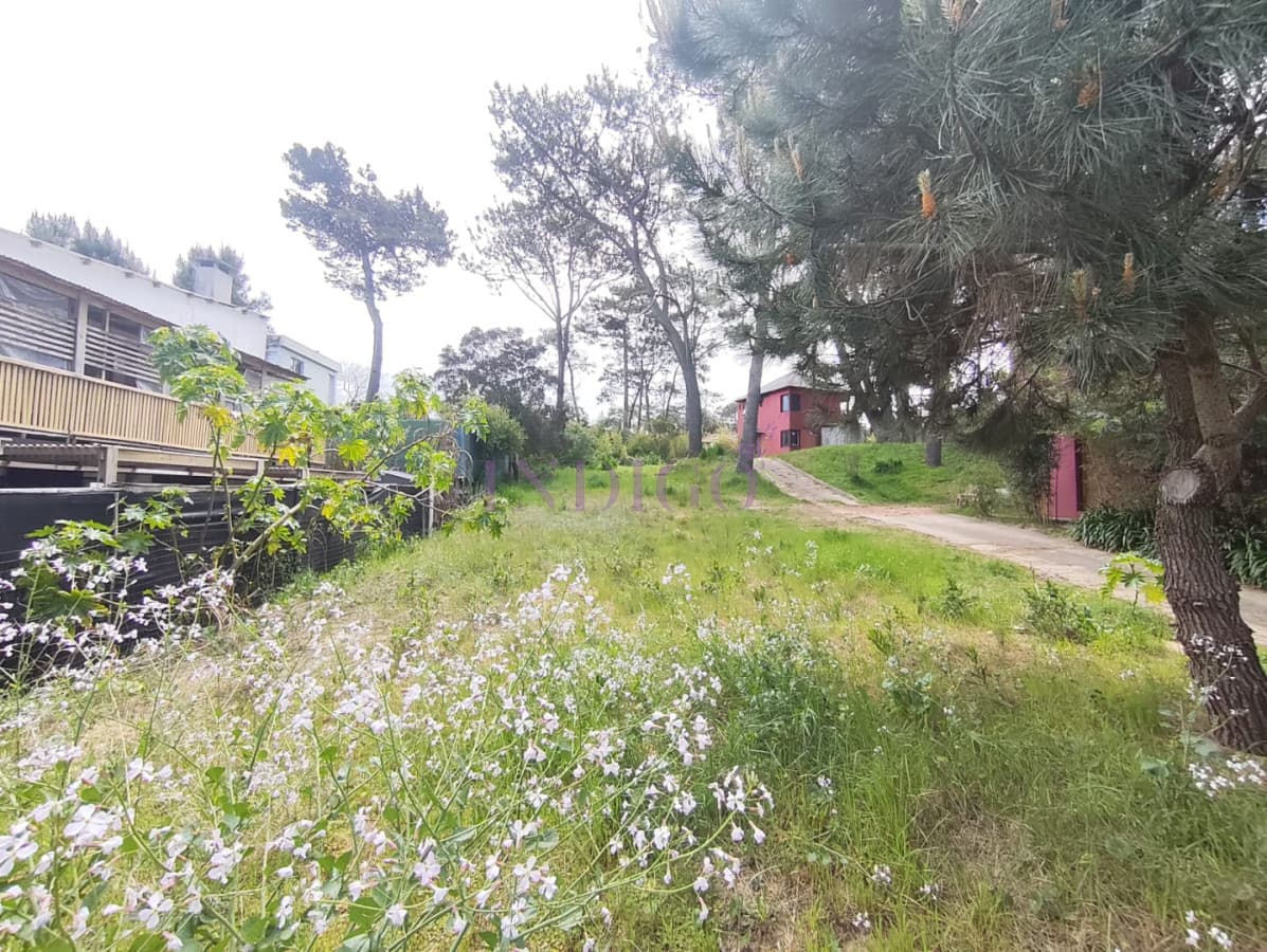 Terreno en Venta en Montoya - Indigo Propiedades