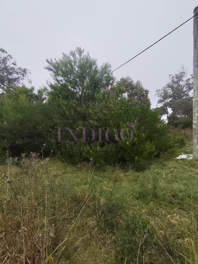 Terreno en Venta en Santa Monica - Indigo Propiedades