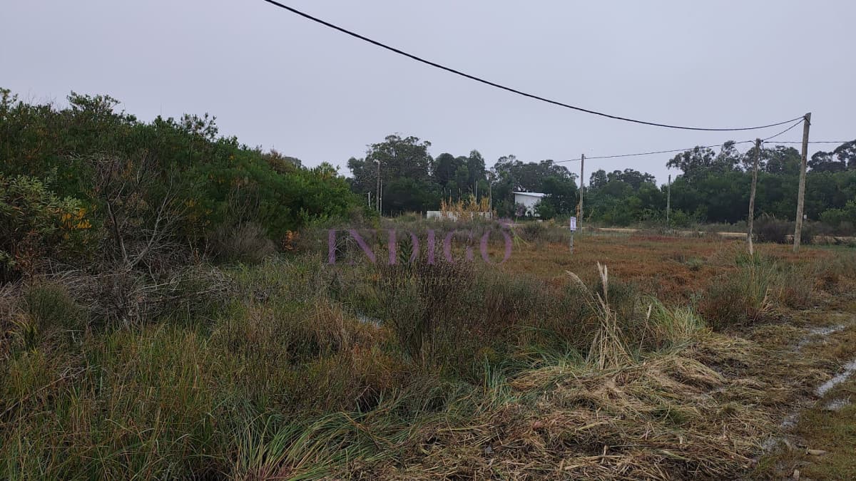 Terreno en Venta en Santa Monica - Indigo Propiedades