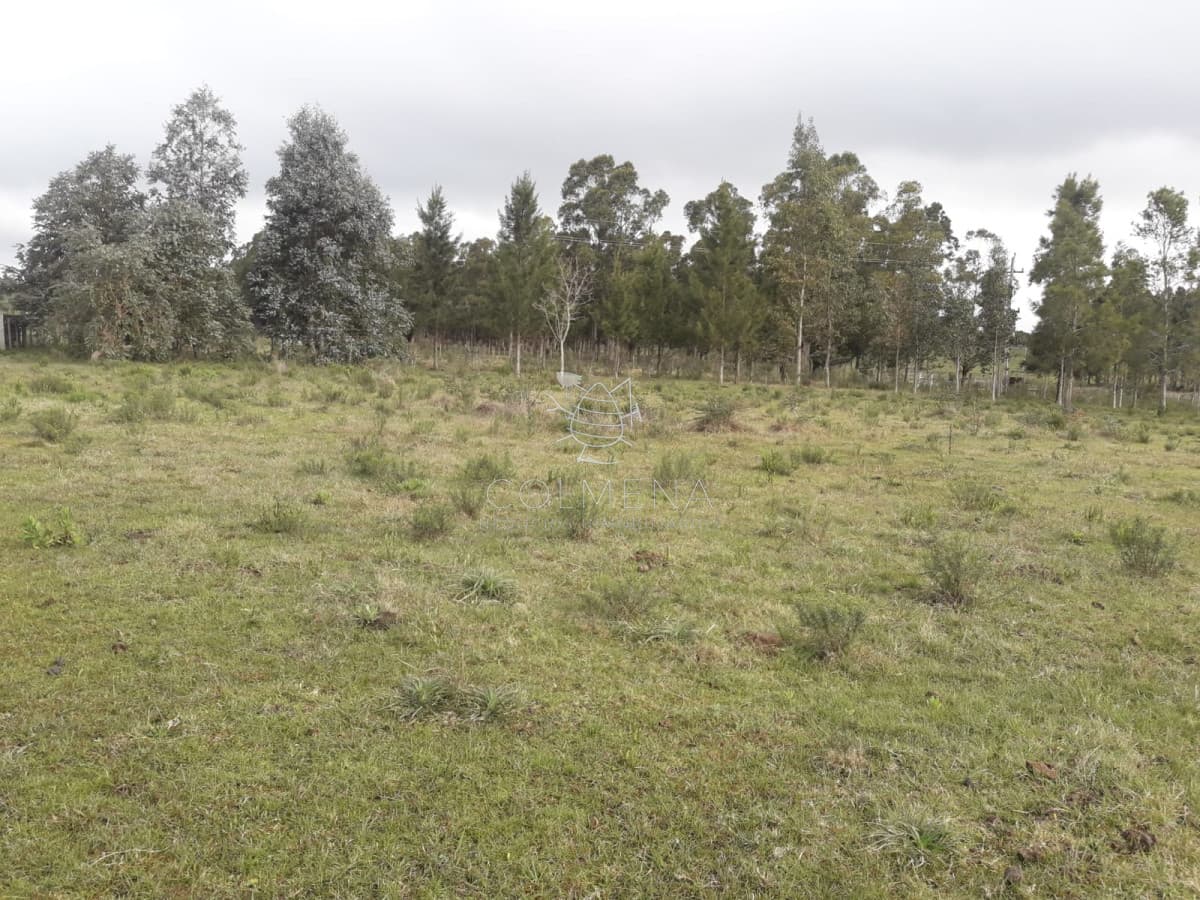 Campo 5 has cerca ruta 12 - Consulte !!!!!!!