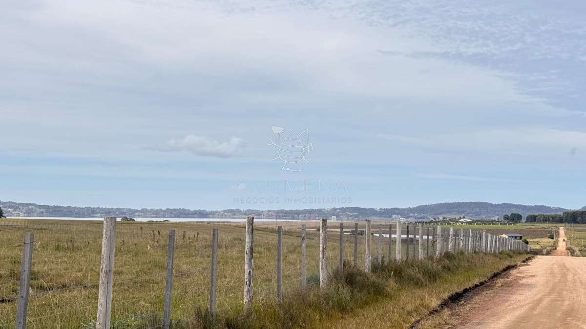 Chacra 7 has con 6653 m2 en Laguna del sauce