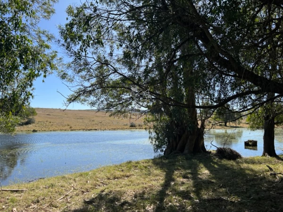 Campo 10 has y media con casa y manantial con agua permante. Consulte!!!!!!!!!