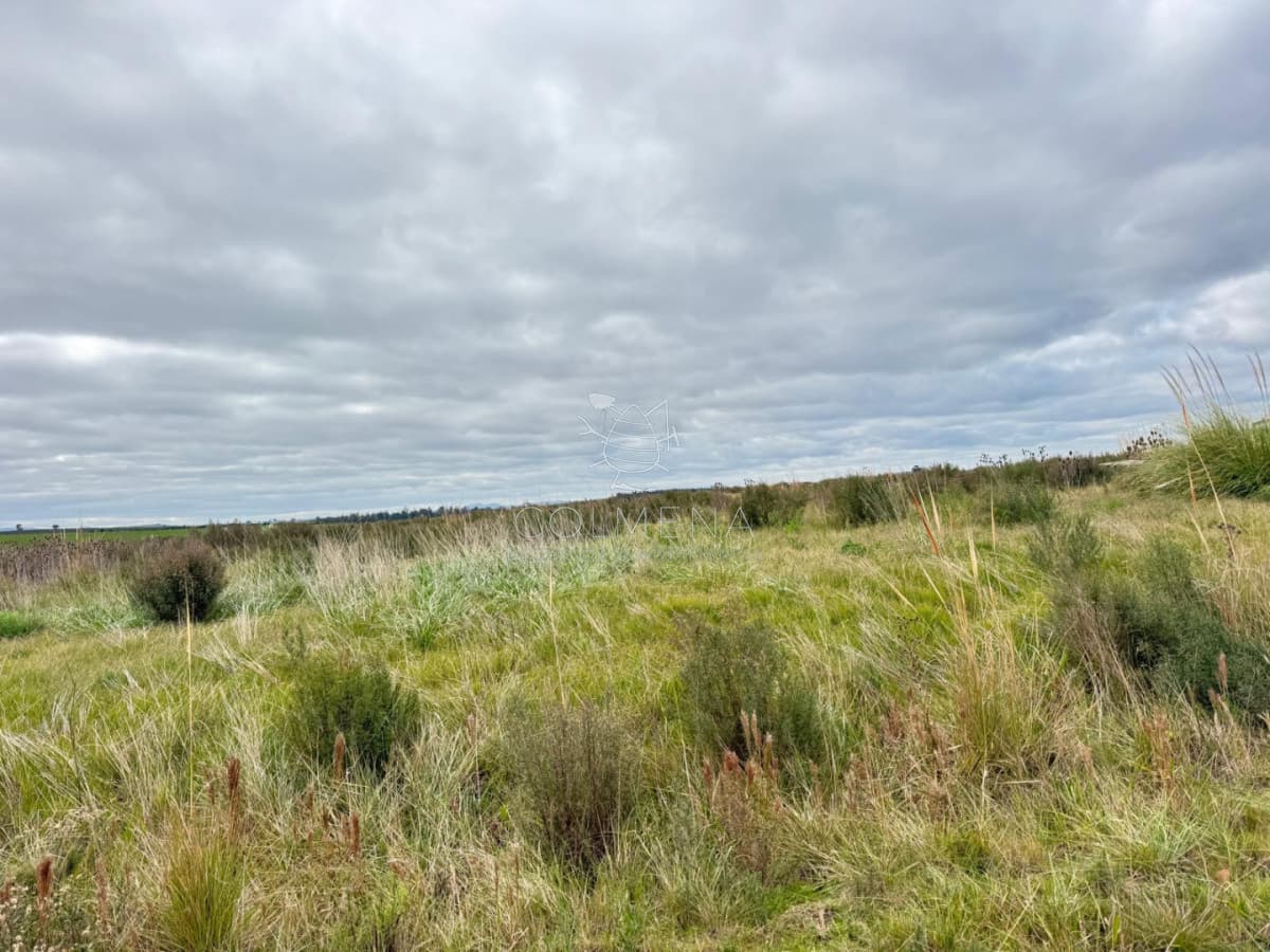 Chacra 6 has con 8793 m2 en Laguna del sauce