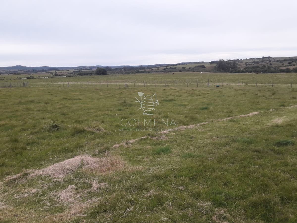 Campo a 5 km de pueblo Garzon - Coneat 106