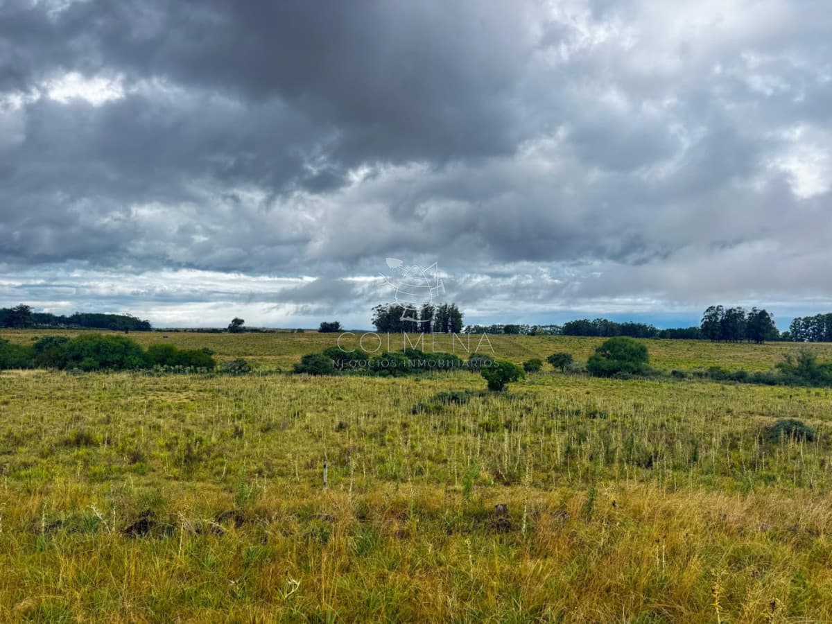 Campo en Medellin