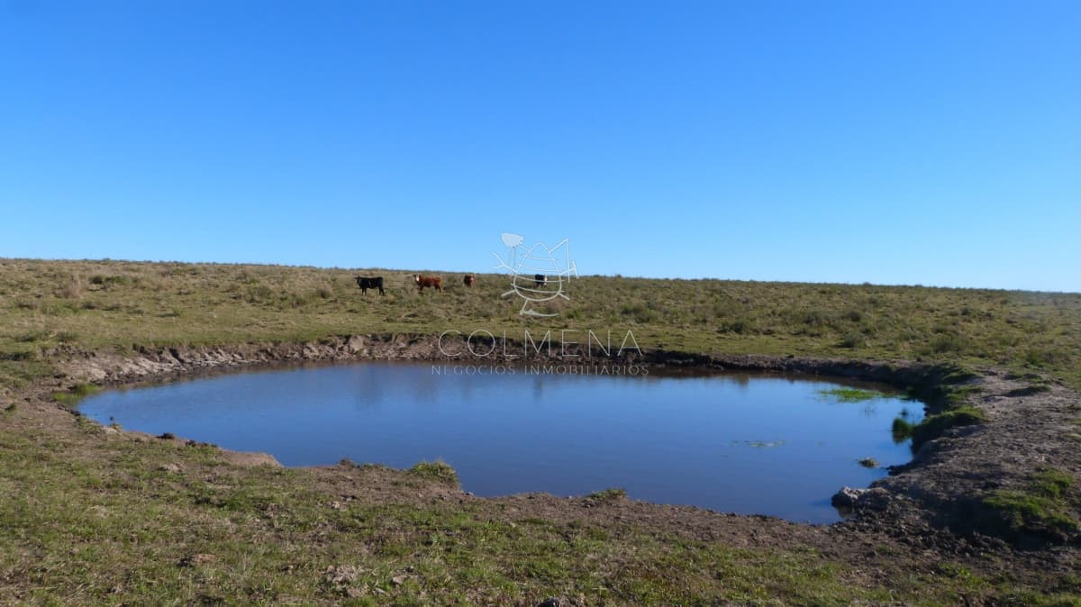 Campo cerca ruta 39 en las Cañas