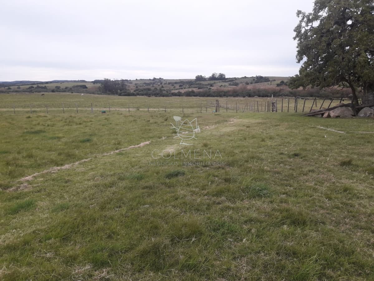 Campo en Garzón con Casa - Consulte!!!!!