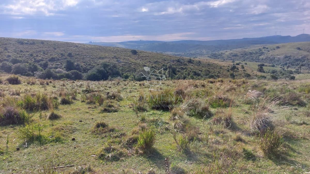 Campo cerca de Aigua