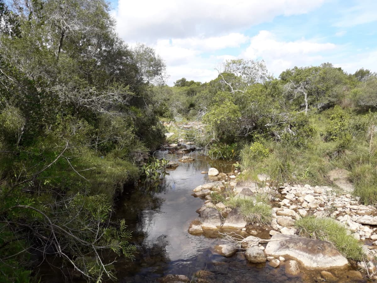 Campo cerca de Pueblo Eden - Consulte !!!!!!!
