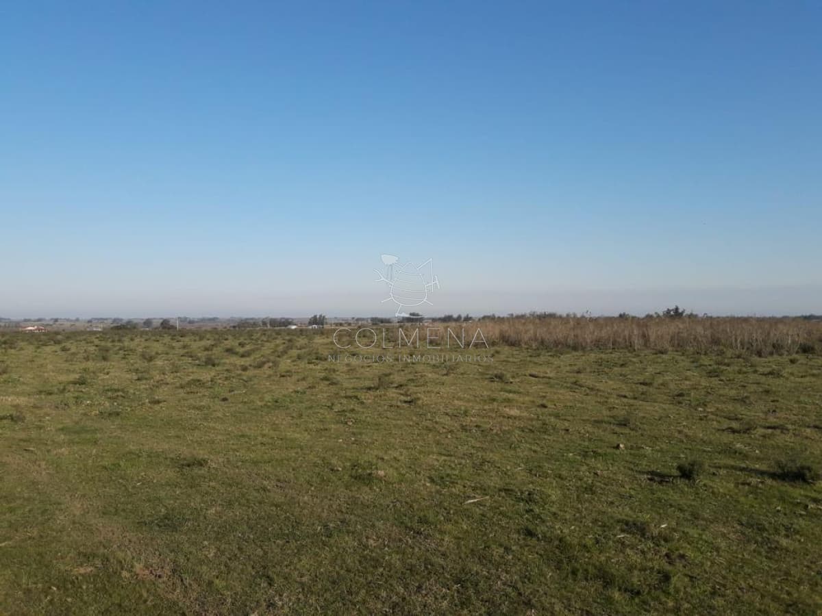 Campo de 66 has con 1991 m2 - En Corte la Leña - Consulte!!!