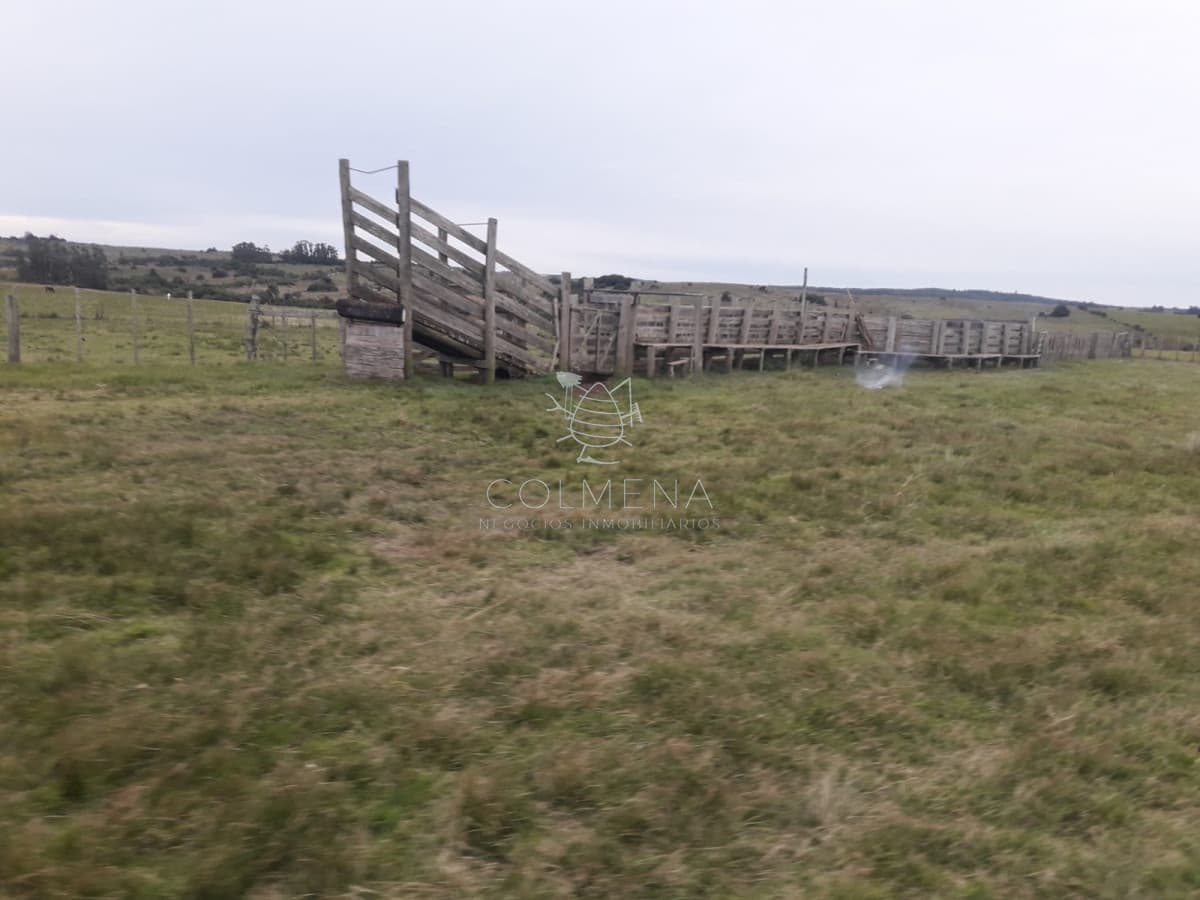 Campo a 5 km de pueblo Garzon - Coneat 106