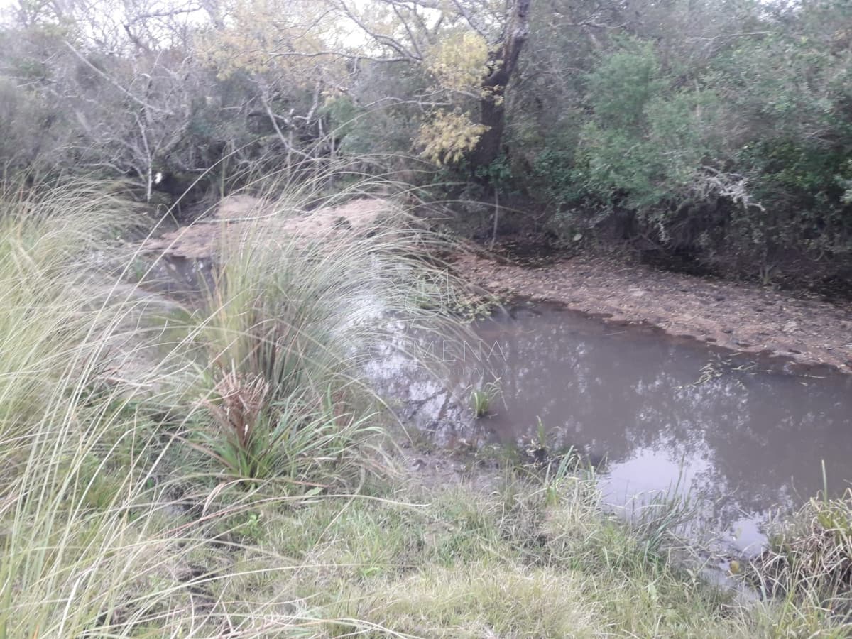 Campo a 5 km de pueblo Garzon - Coneat 106