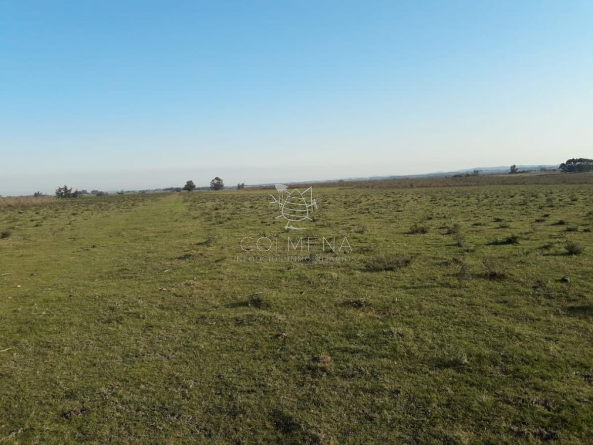 Campo de 66 has con 1991 m2 - En Corte la Leña - Consulte!!!