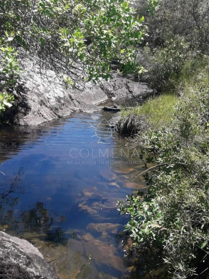 Campo en Carape - Departamento de Maldonado